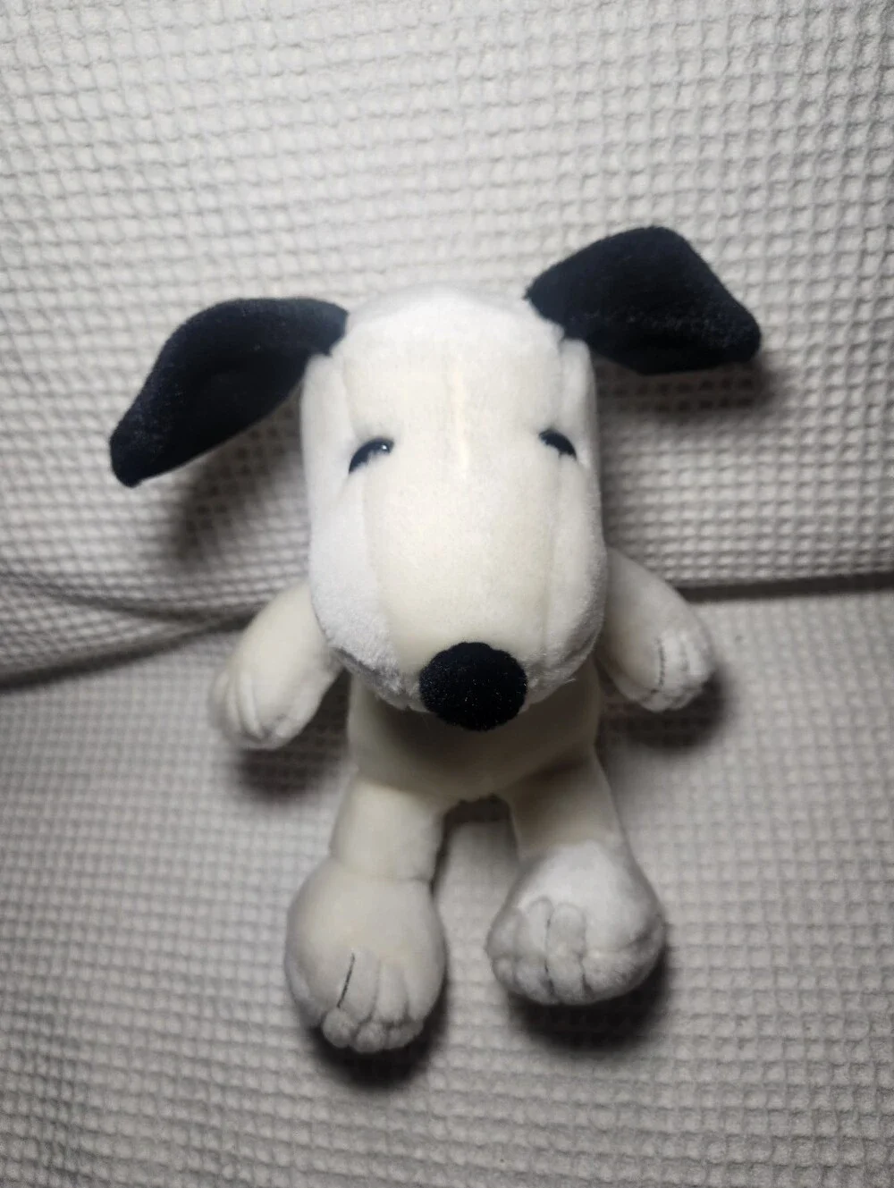 Aurora World ears eyes signature