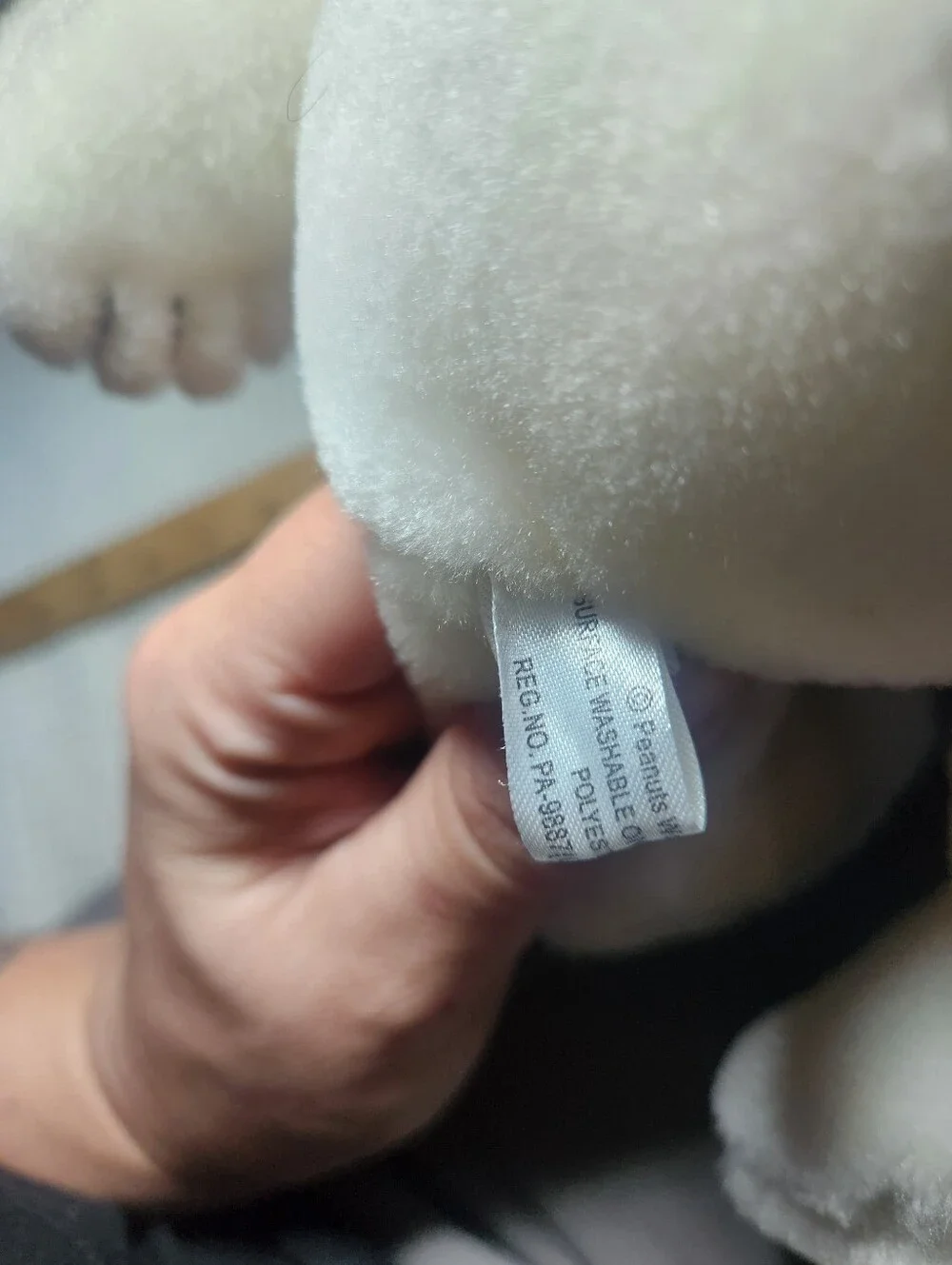 Aurora World signature features