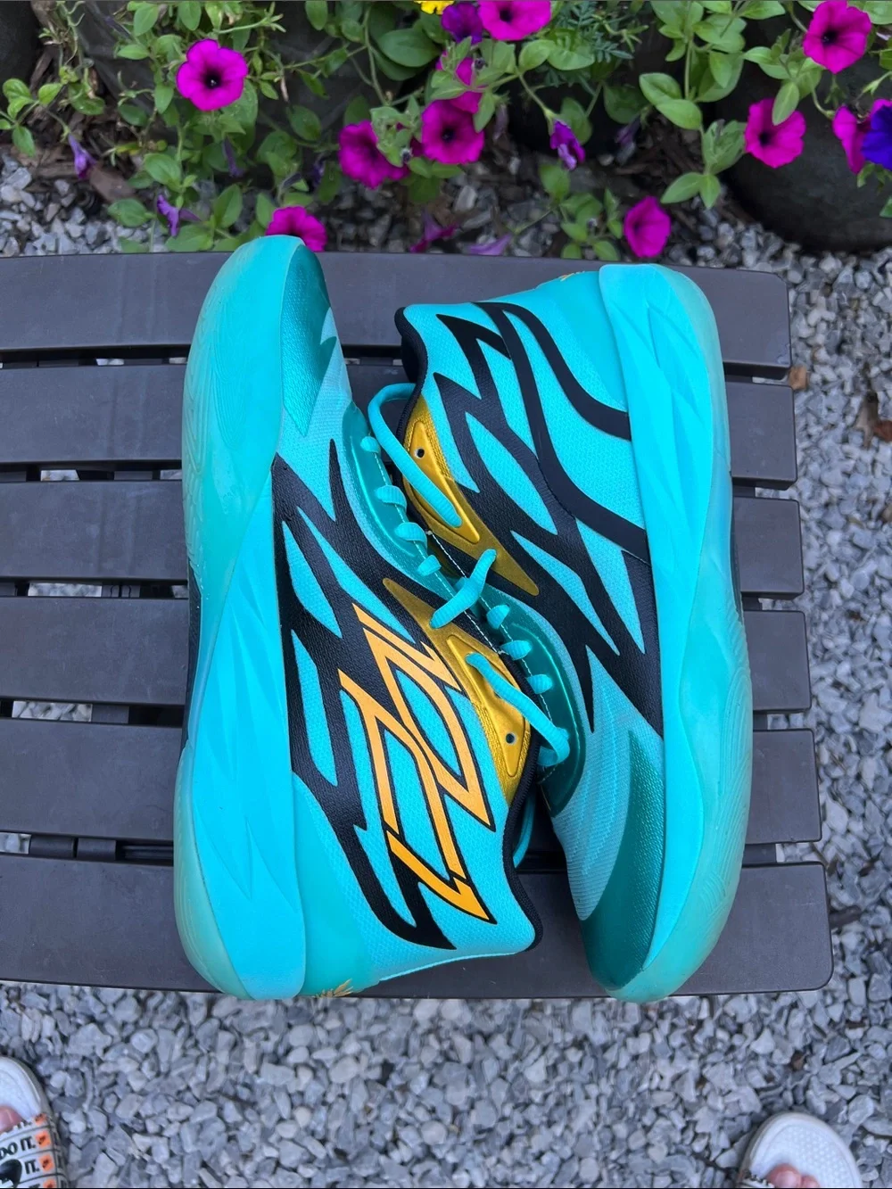 Puma kept nice