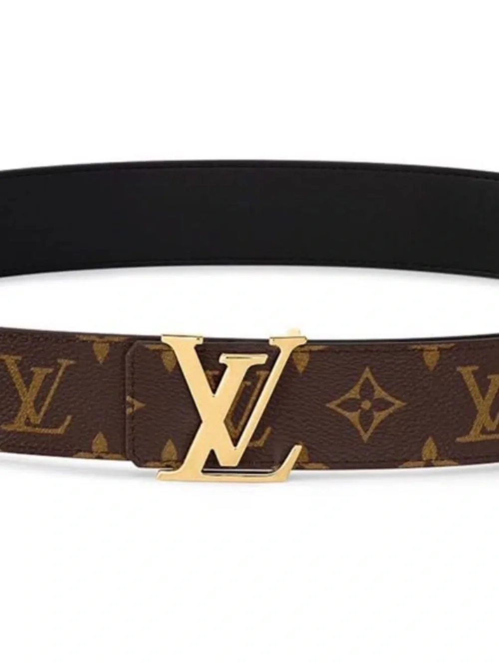 Louis Vuitton classic louis