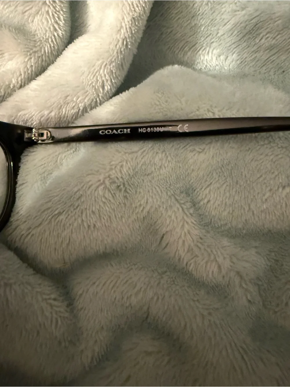 Coach frames look timeless