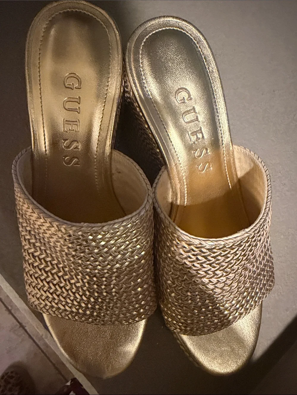 Guess slip wedge