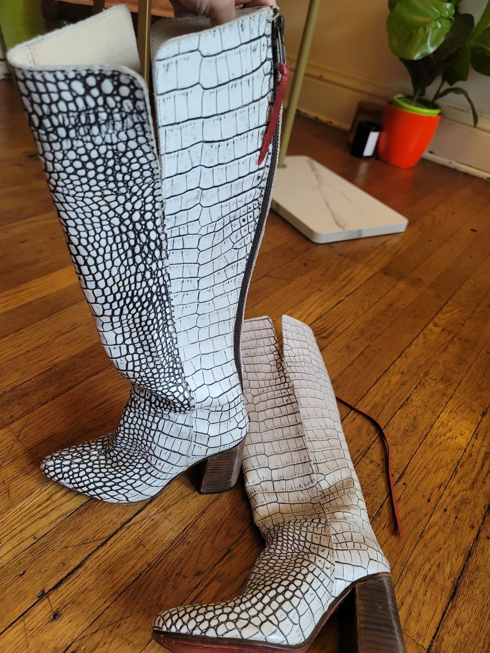 Freebird by Steven never worn