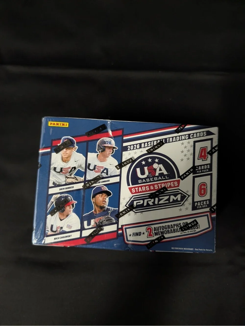 Panini this 2026