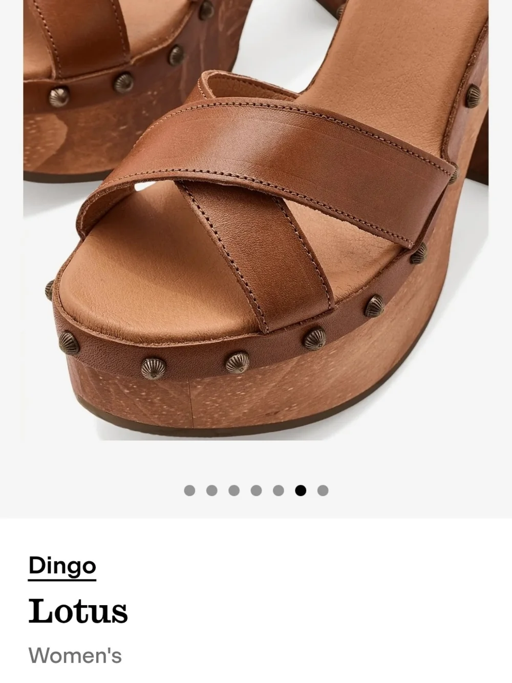 dingo nwt chunky