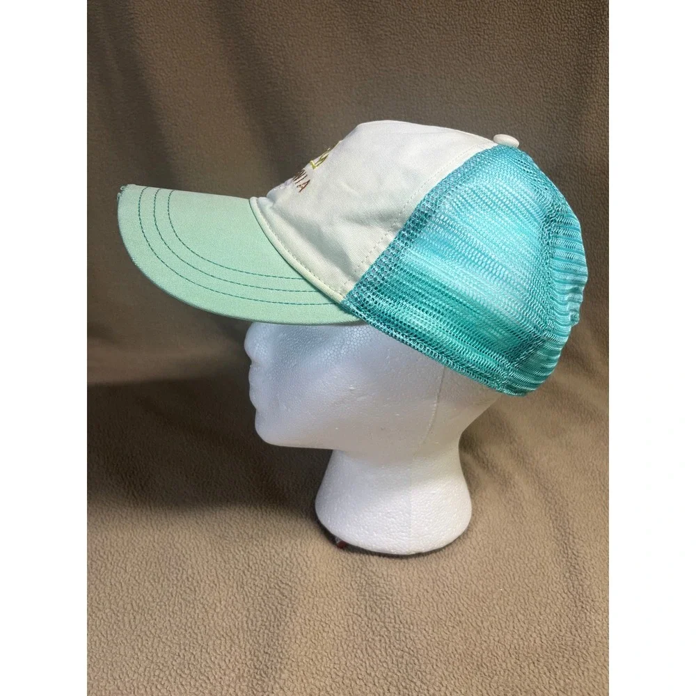 Patagonia trucker hat