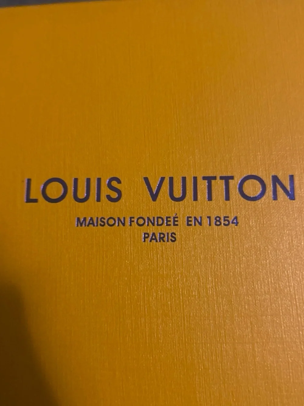 Louis Vuitton compact damier