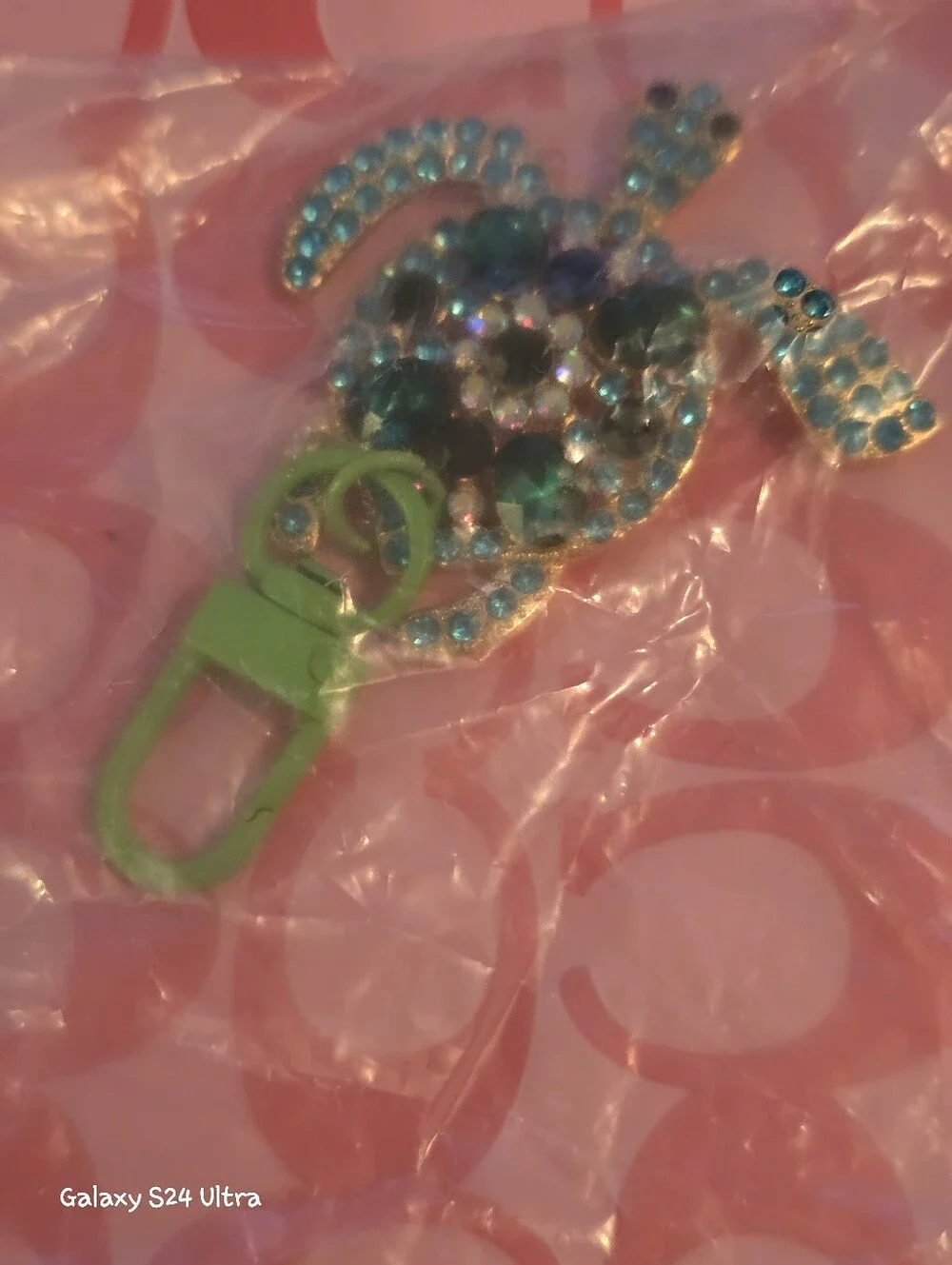 N/A turtle bag