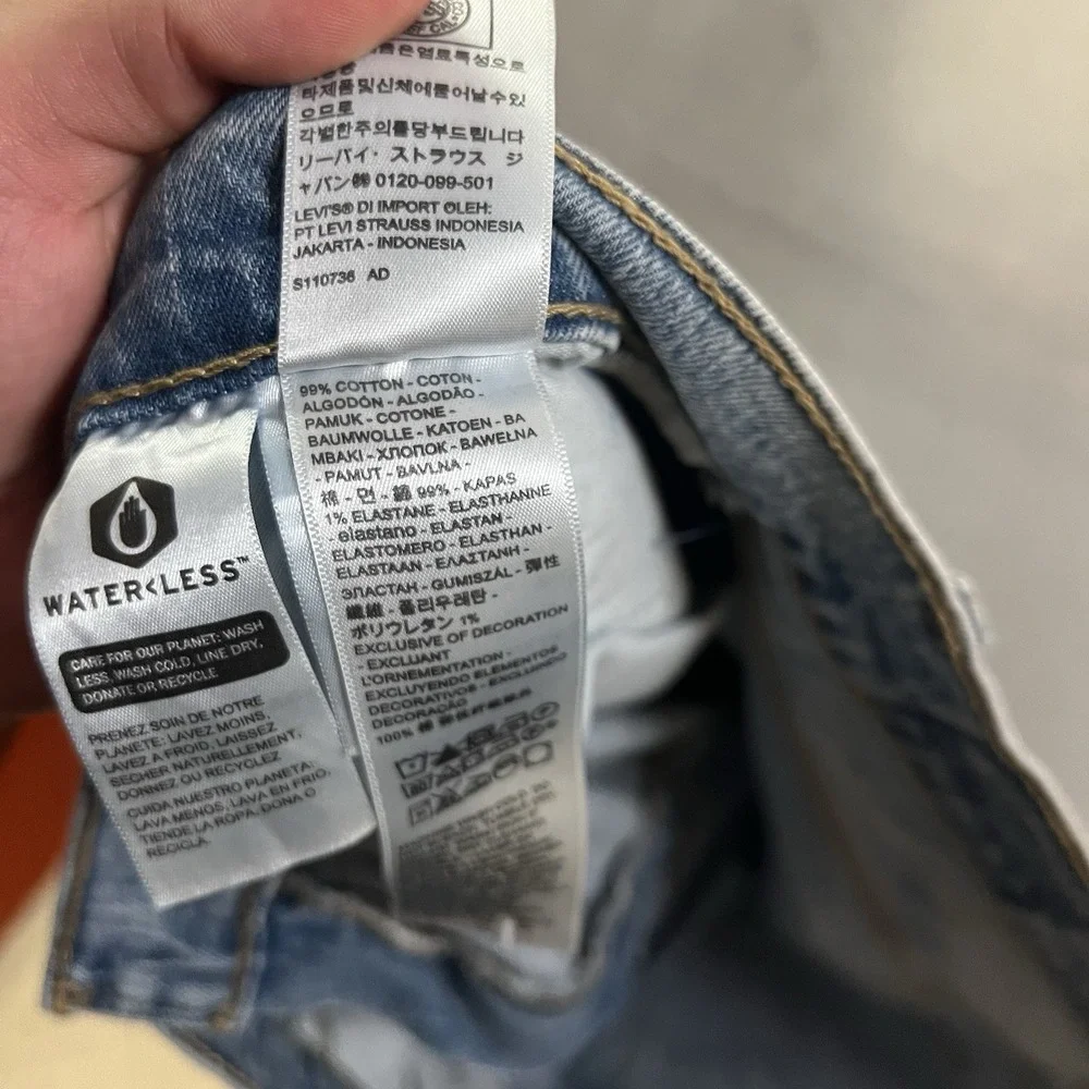 Levis levis 559