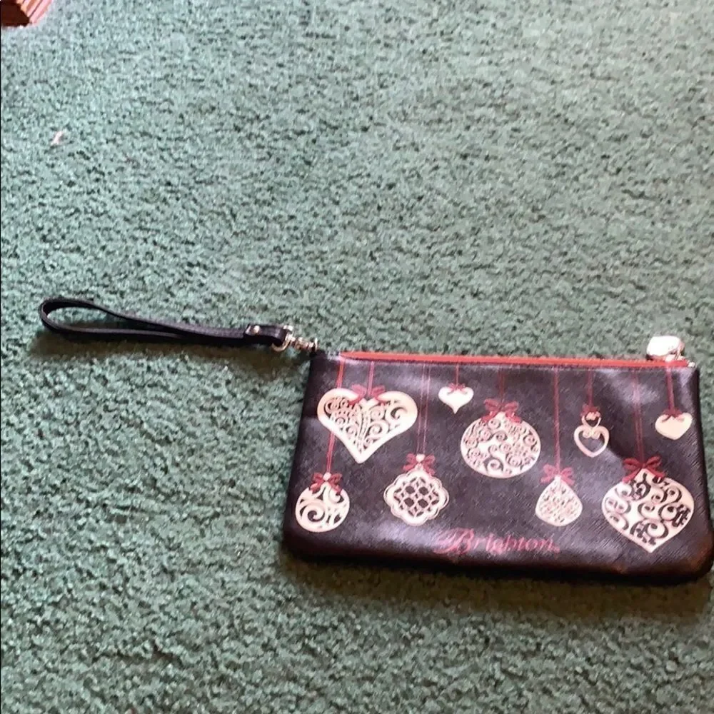 Brighton clutch/ makeup bag