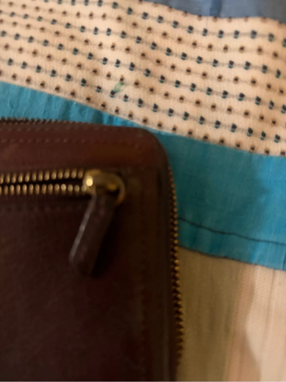 Fossil smooth brown