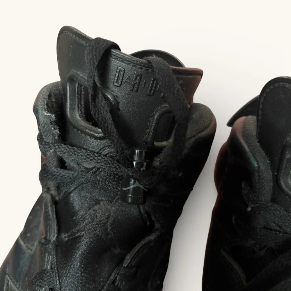 Air Jordan 6 Retro All Star Chameleon Men's 10.5 Black 907961-015 2017