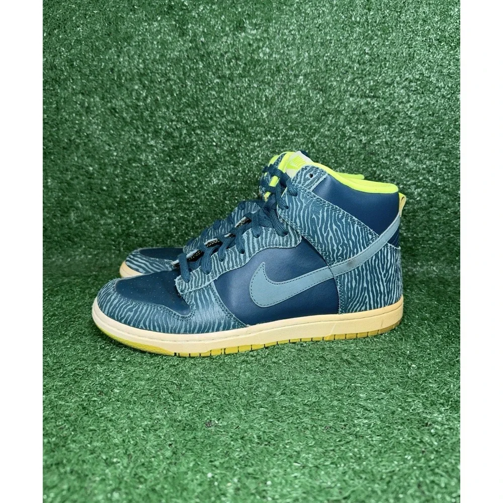 Nike dunk high