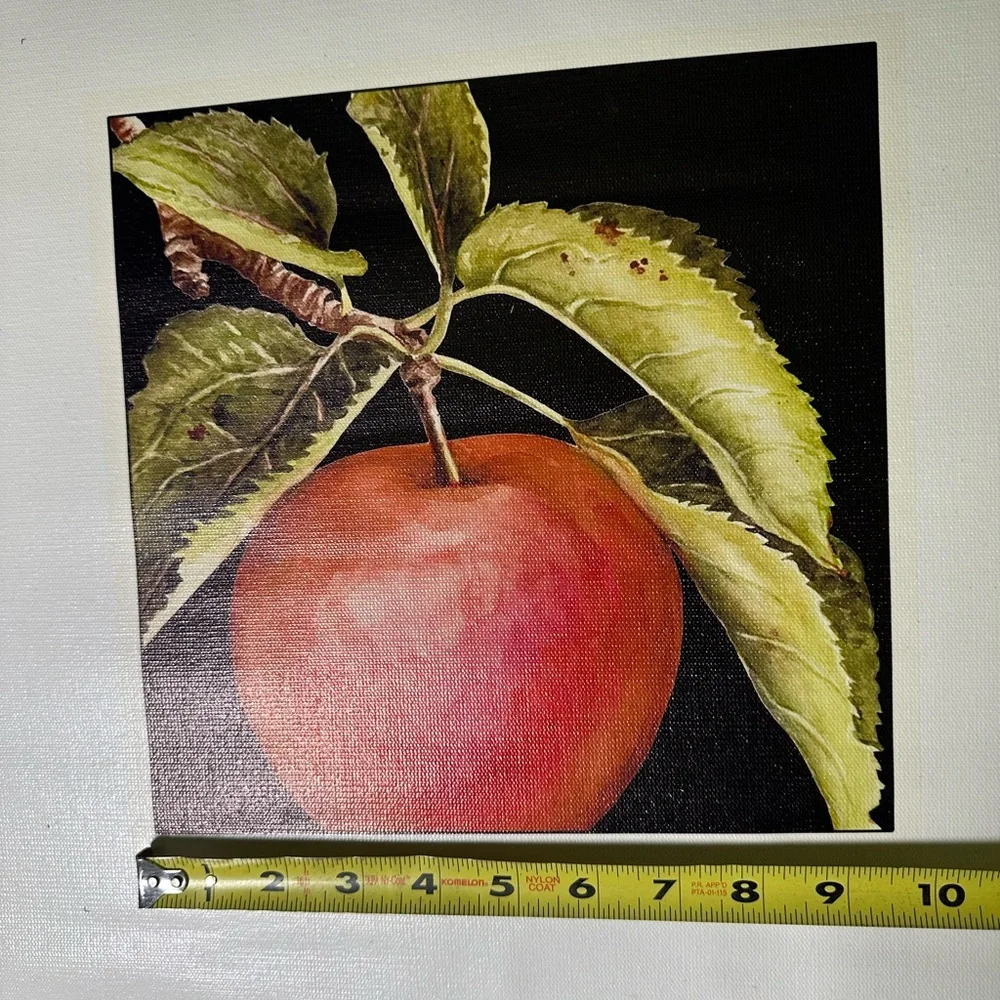Printed art on loose‎ unstretched Canvas Red Apple Vintage Style Craft