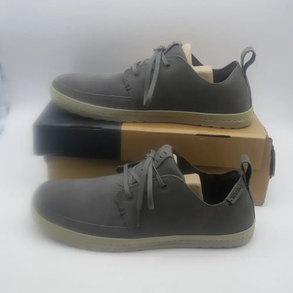 Teva purchase by