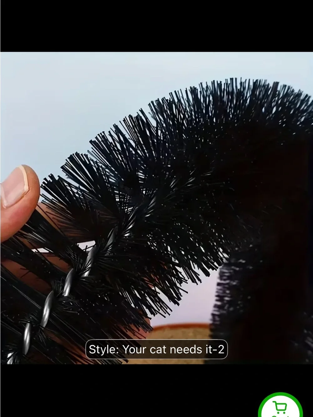 N/A interactive cat