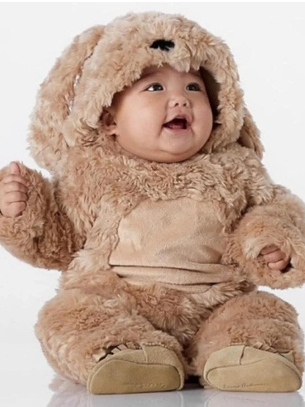 Pottery Barn Baby Labradoodle Dog Halloween Costume 0-6 Months