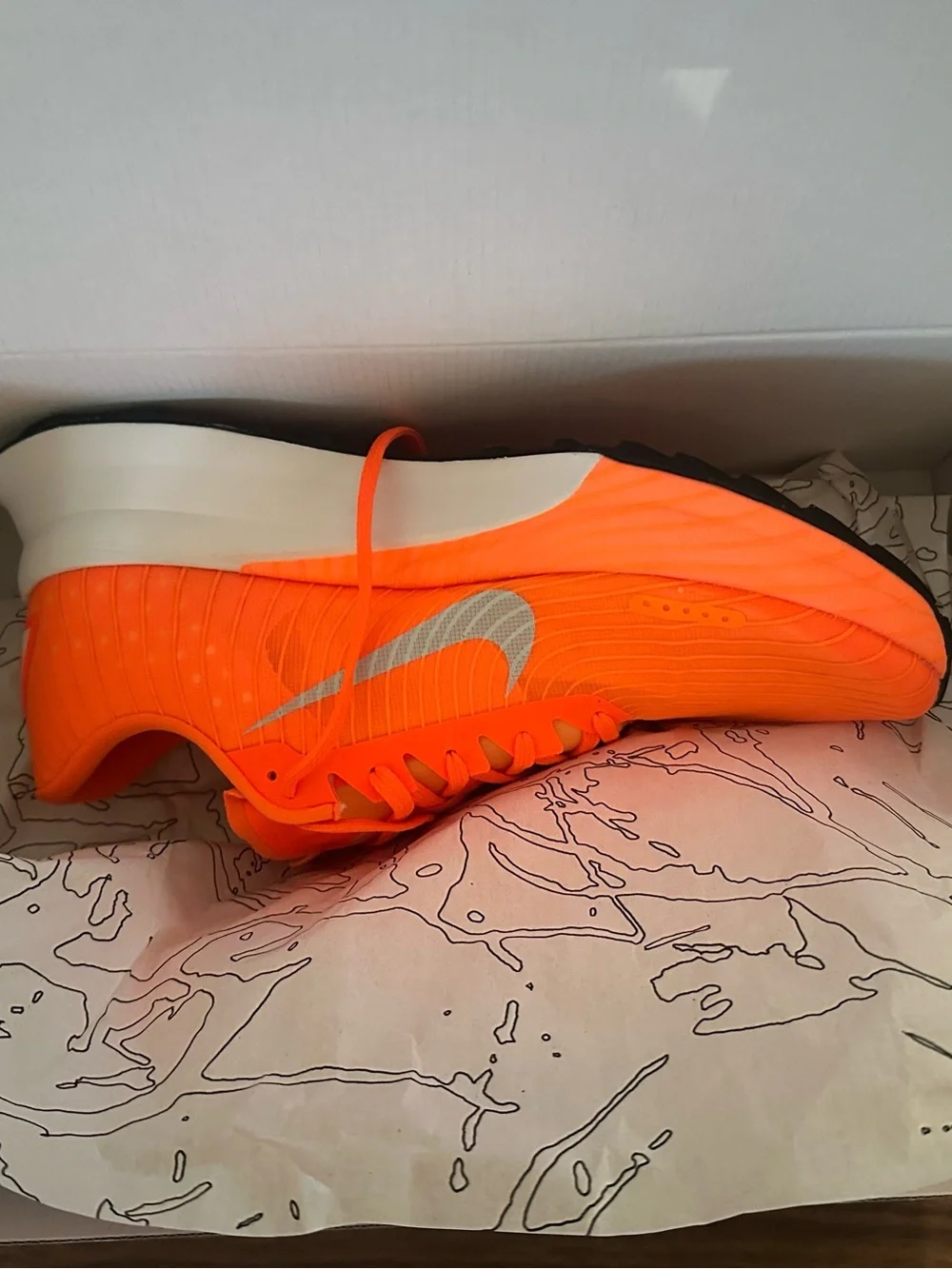 Nike ACG ultrafly 2