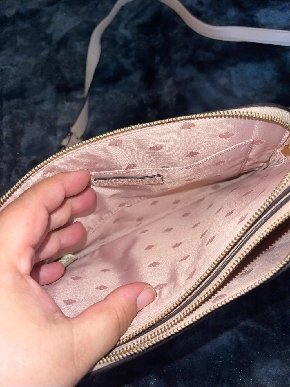 kate spade kate spade