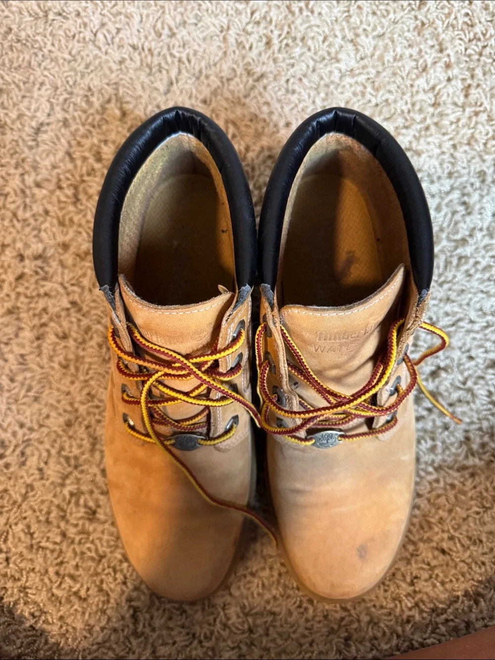 Timberland classic men
