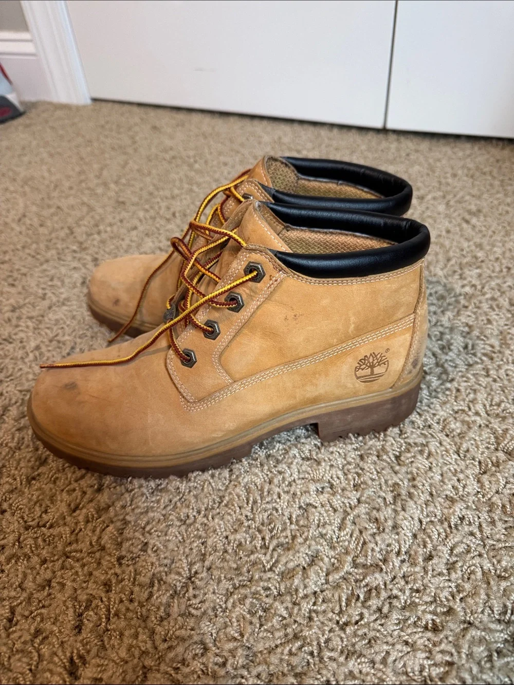 Timberland classic men
