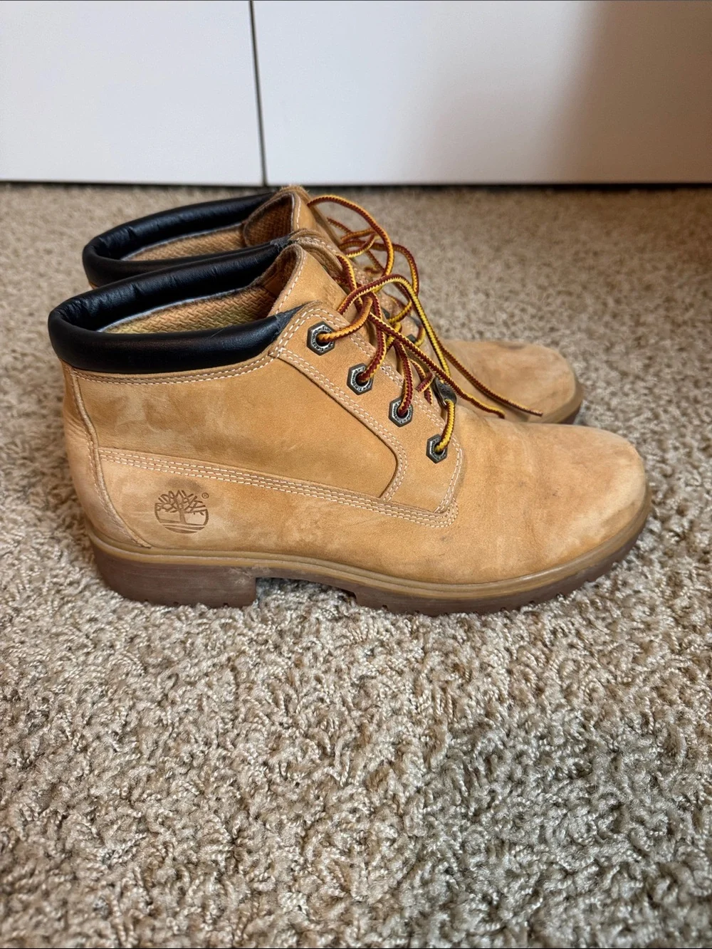 Timberland classic men