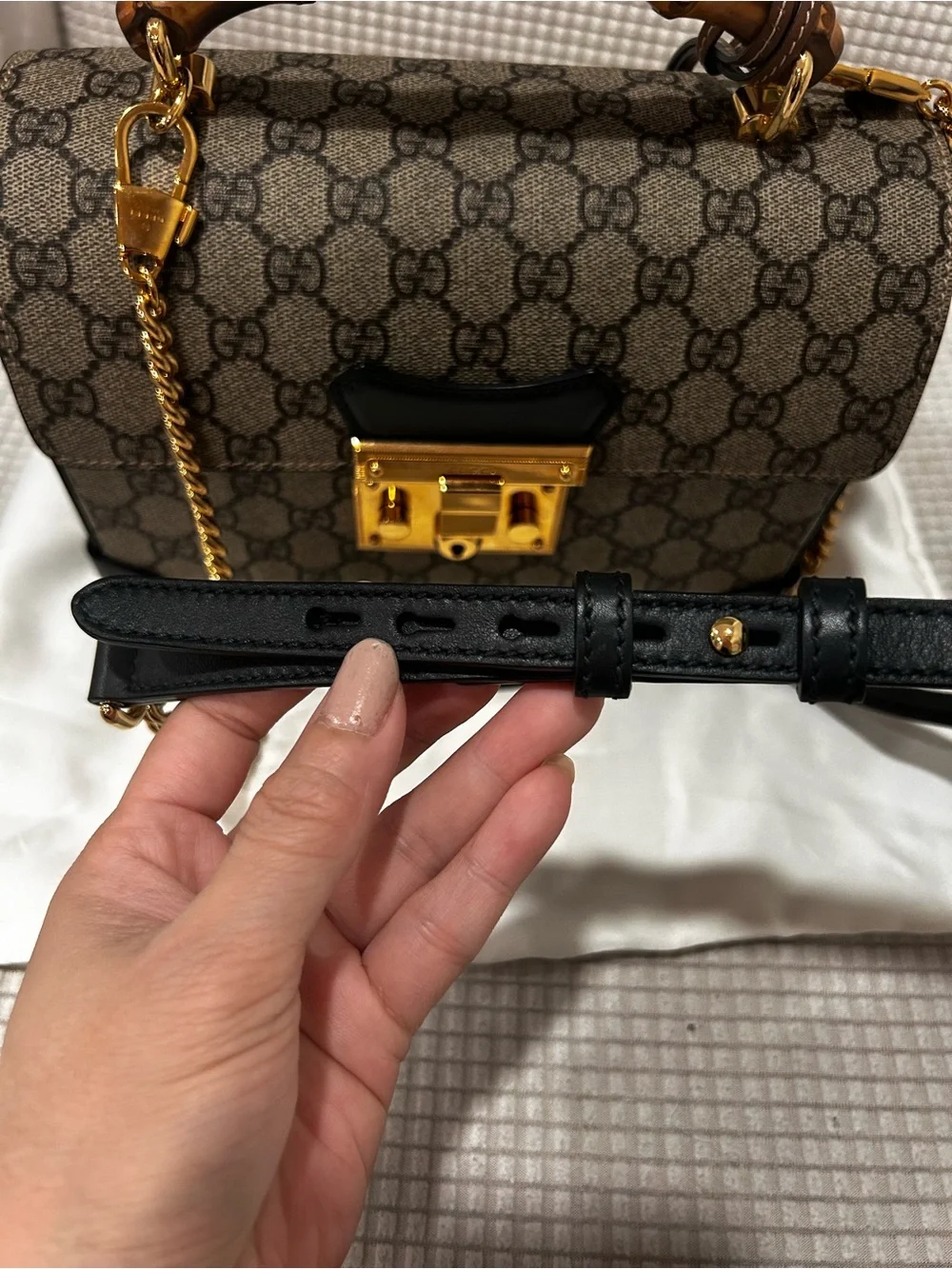 Gucci gg supreme