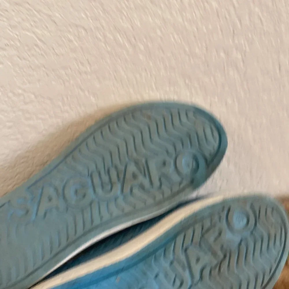 Saguaro boy blue
