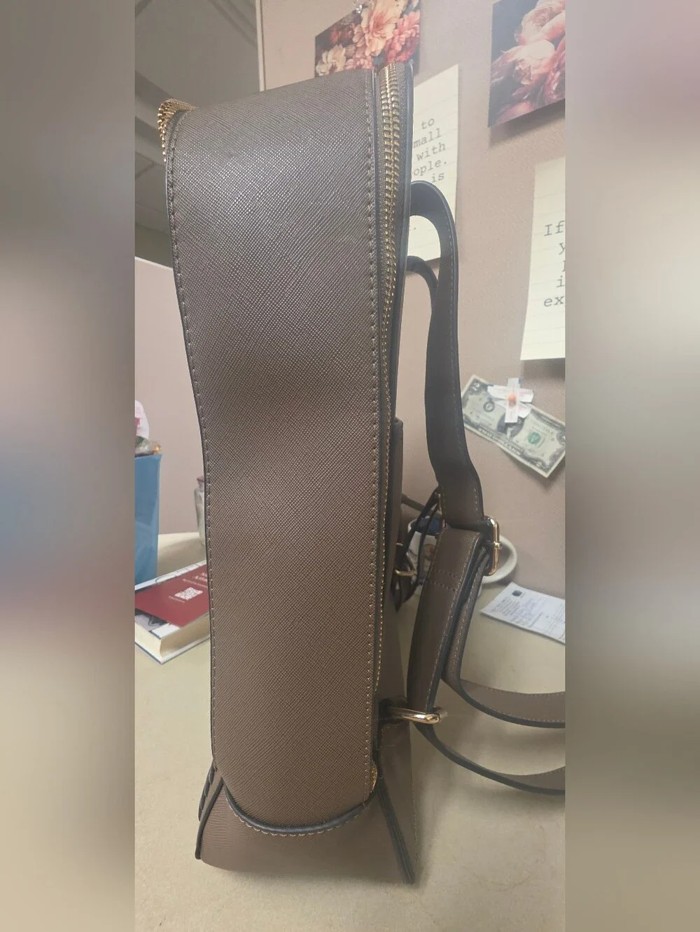 Calpak backpack rich