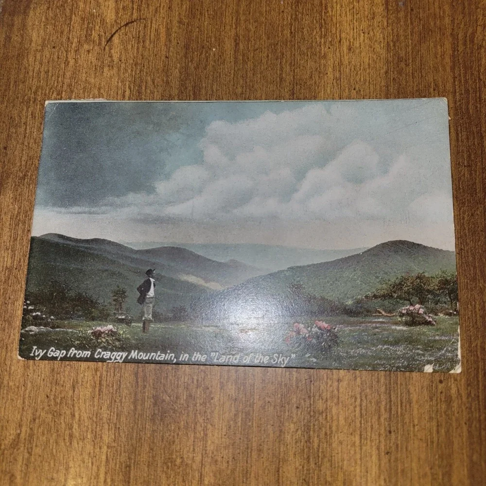 1908 Ivy Gap Craggy Mountain‎ Asheville NC Postcard Land of the Sky 1¢...
