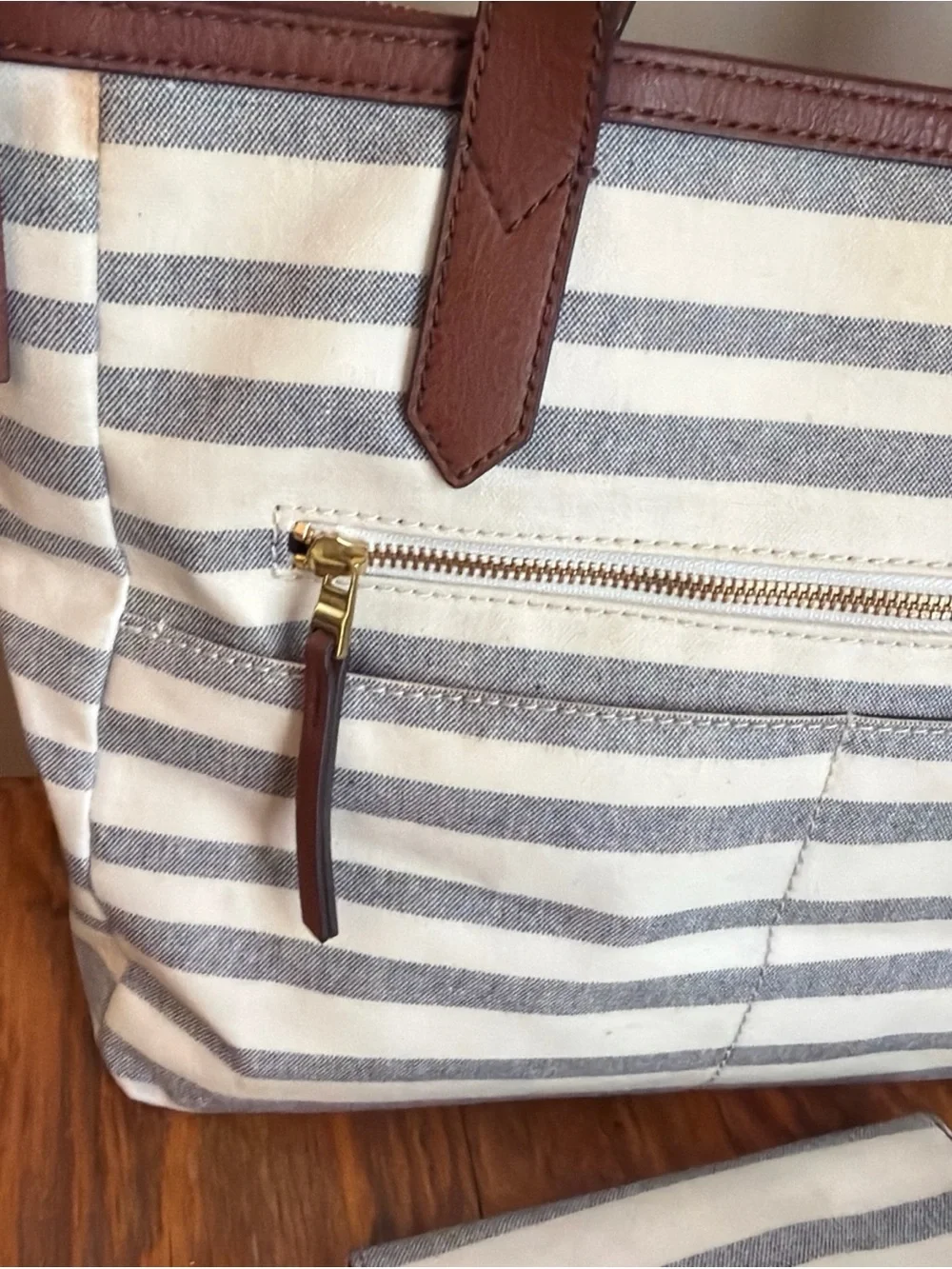 Fossil coated canvas 13”