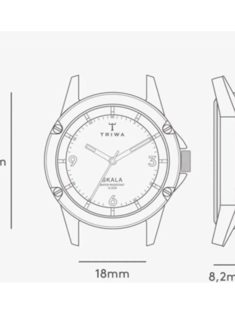Triwa new without