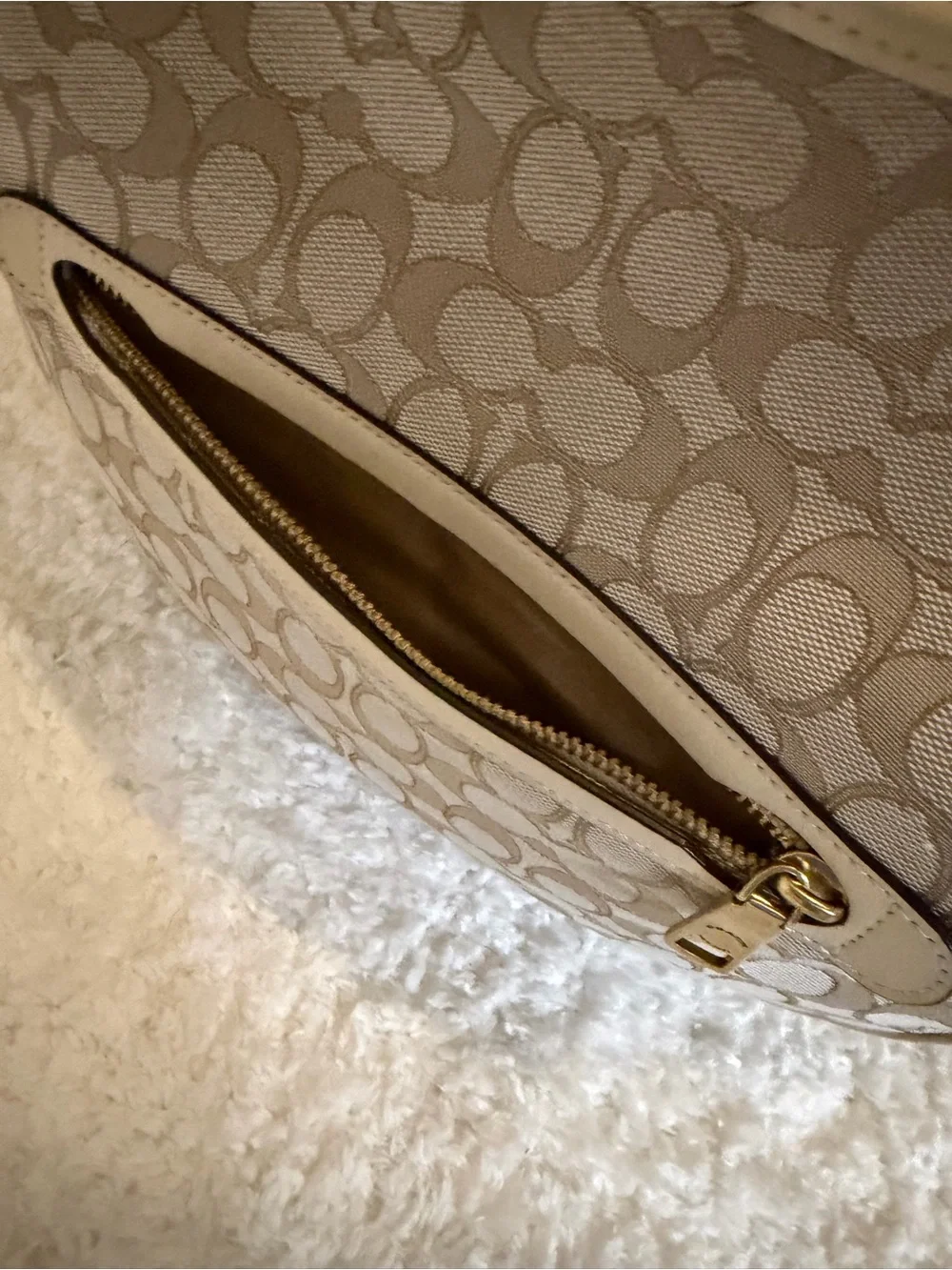 Coach hobo signature