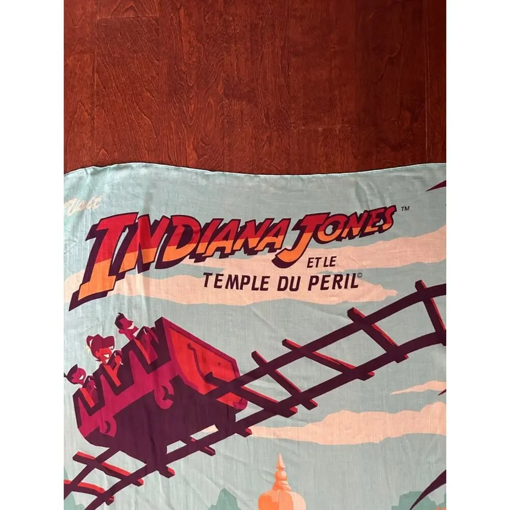 Disney bold disneyland