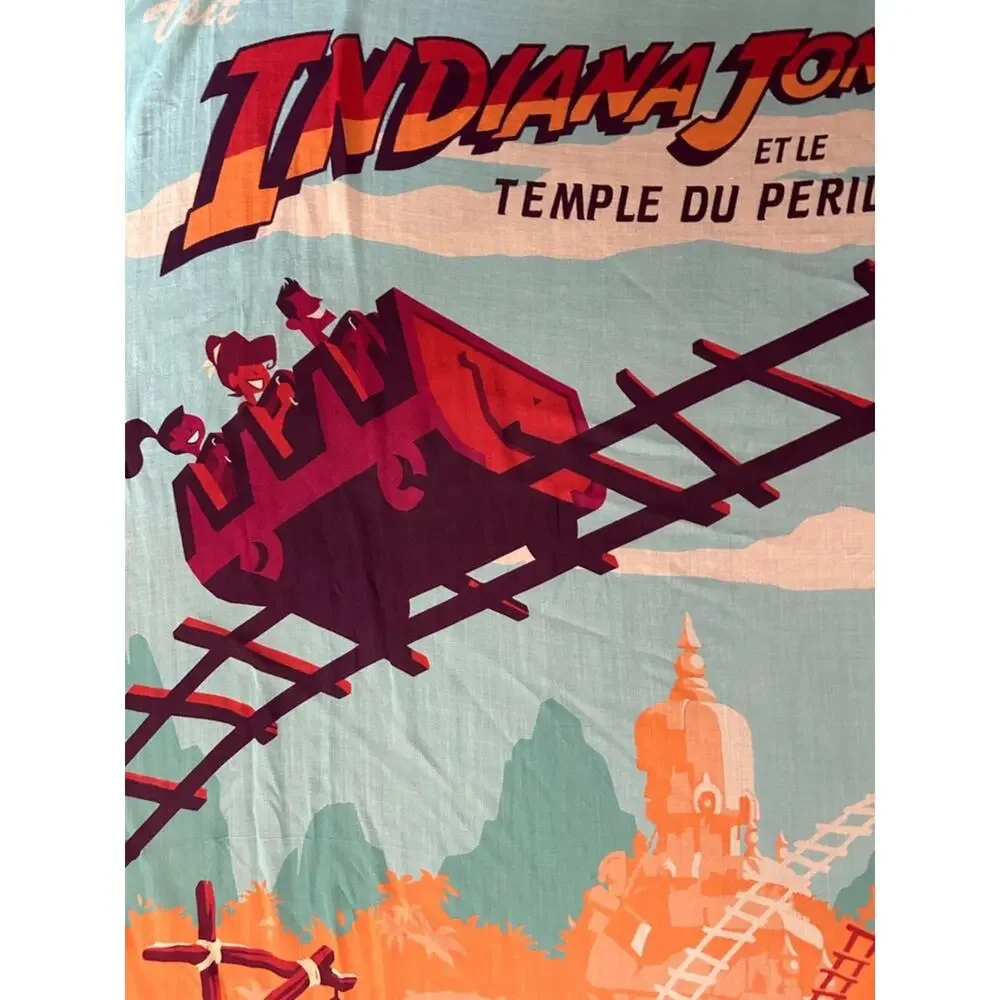 Disney bold disneyland