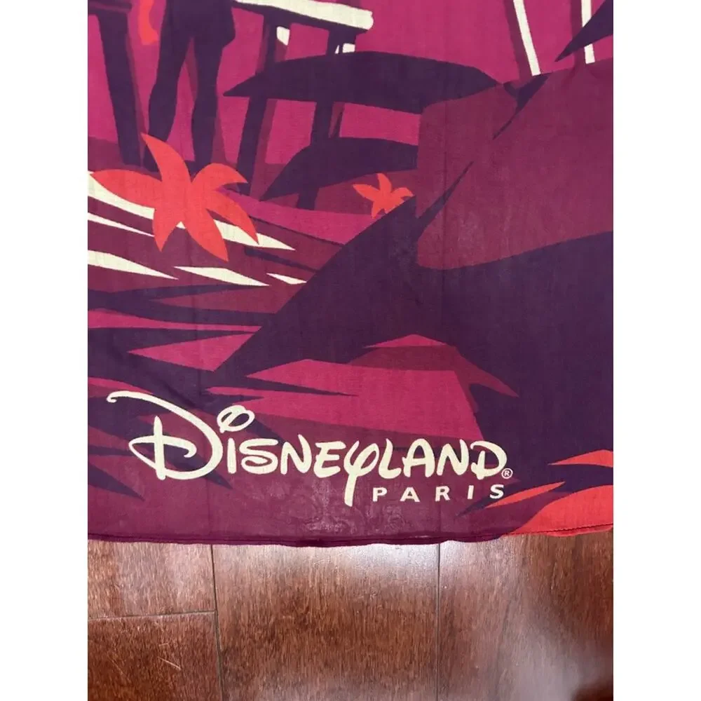 Disney bold disneyland