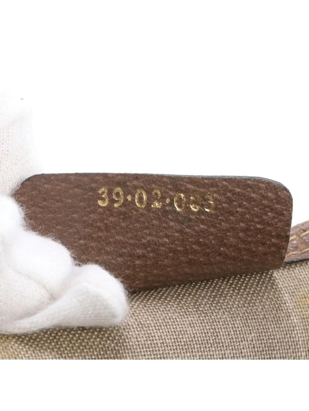 Gucci brand name
