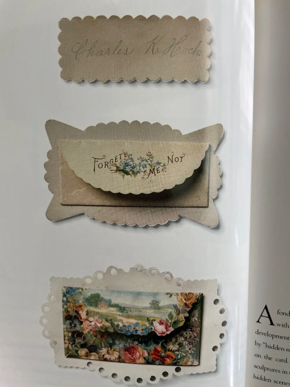 Victoria: Calling Cards - Business and Calling Card Design - Hardbound Book