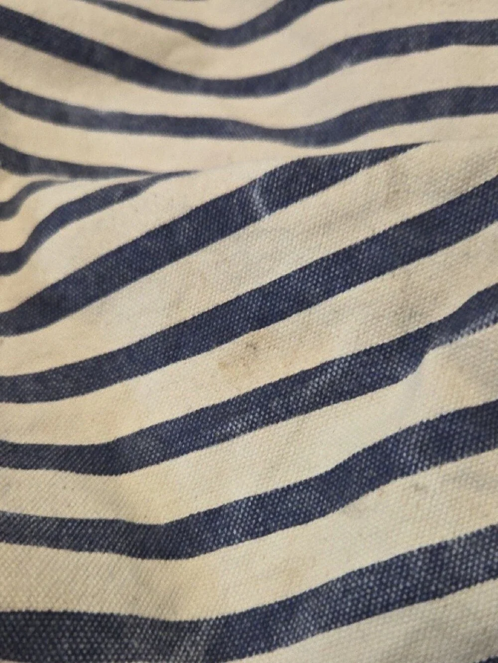 BAGGU Striped Canvas Tote in Navy and Cream