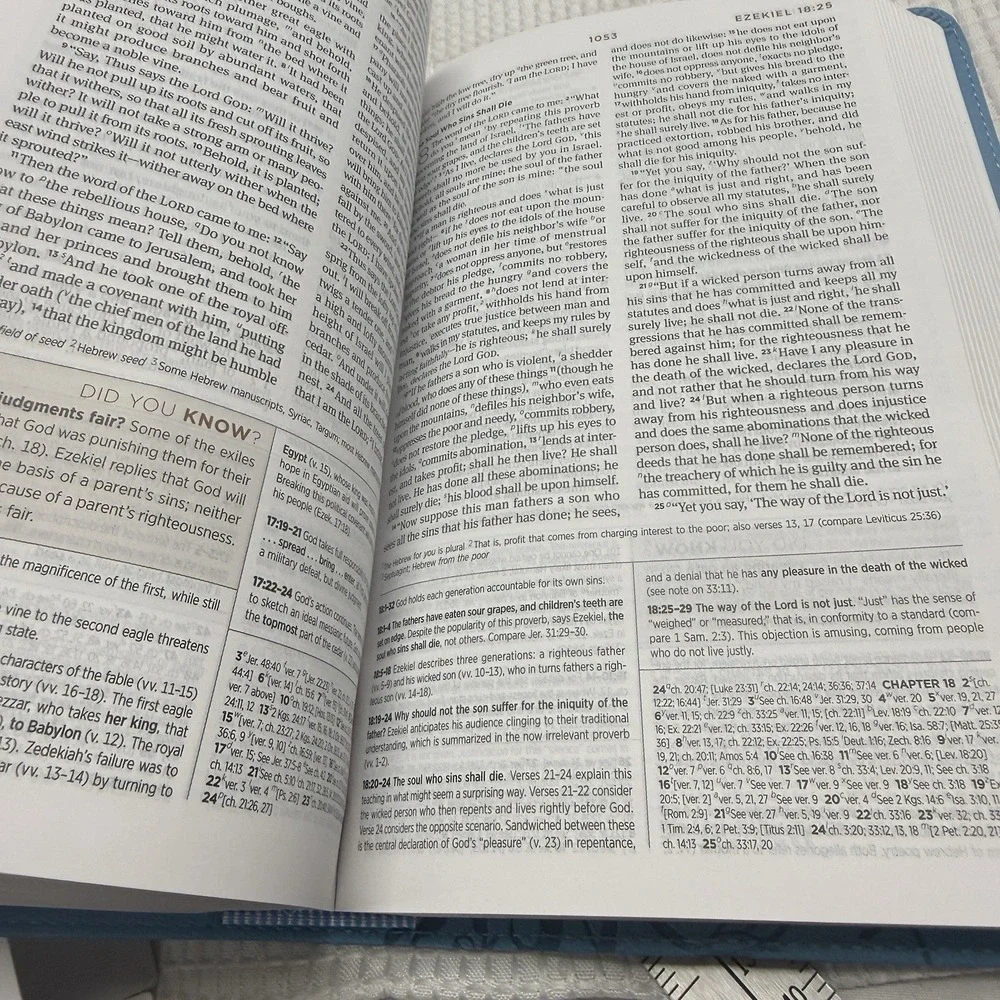N/A esv holy