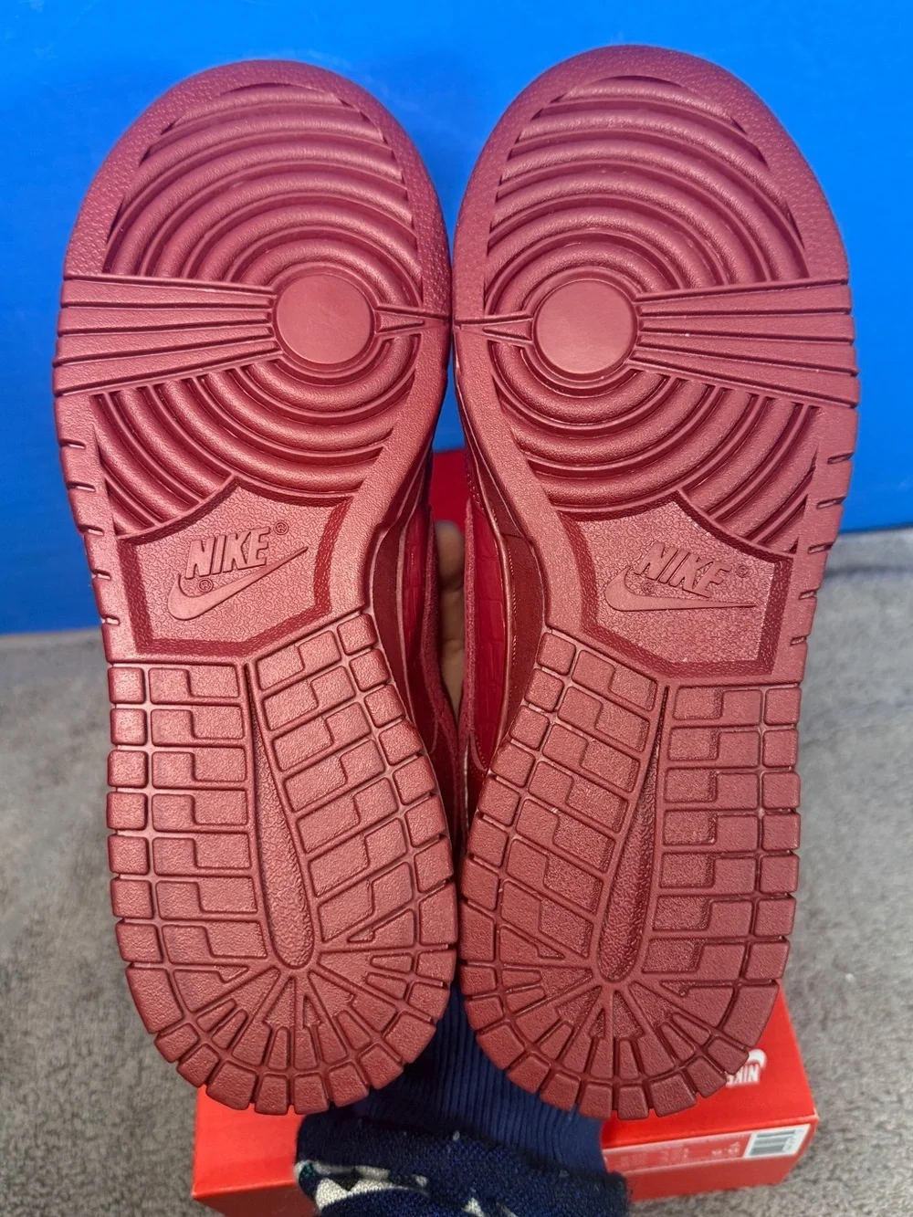 Nike dunk w Brand new