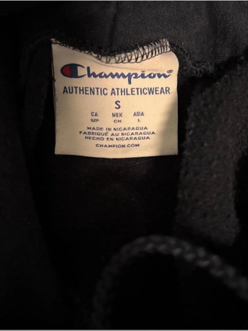 Champion crewneck hoodie