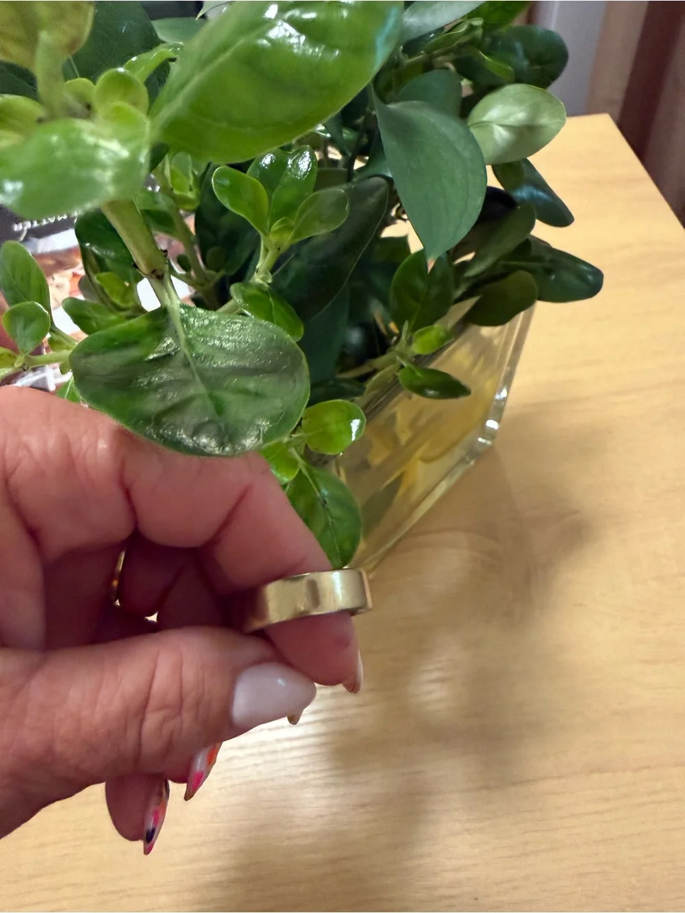 Oura gently used