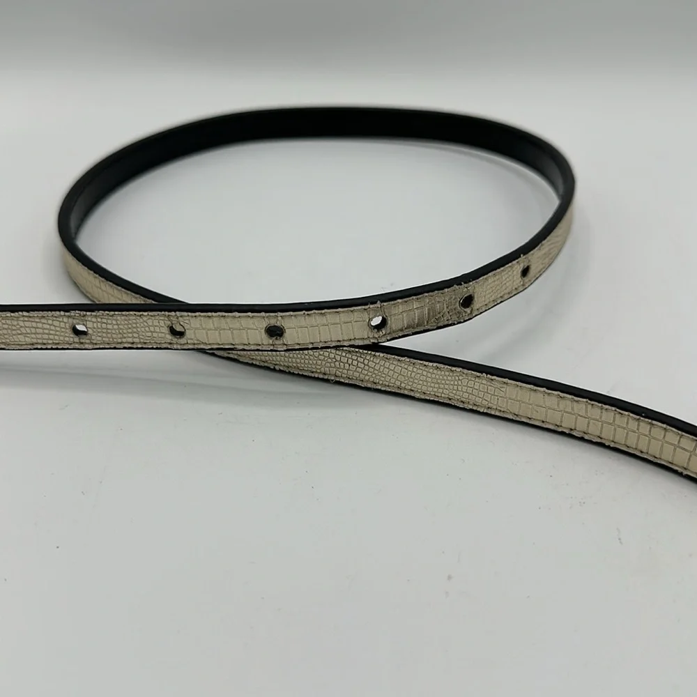 Express thin metallic