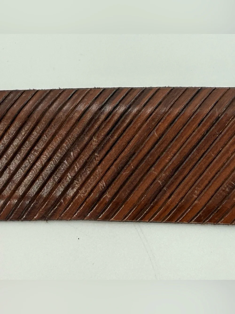 Lejon lejons beveled