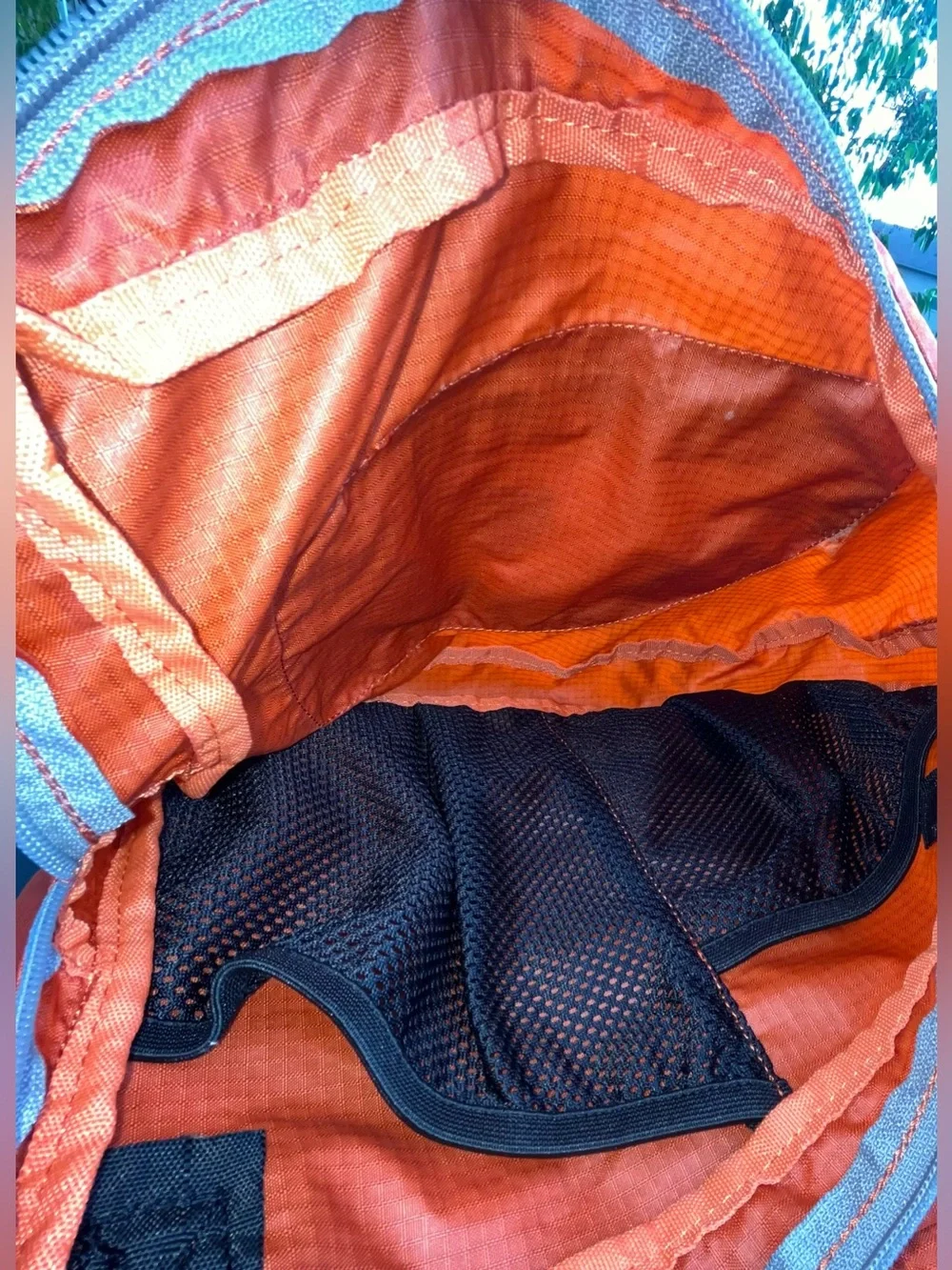 Ribz nwnt front