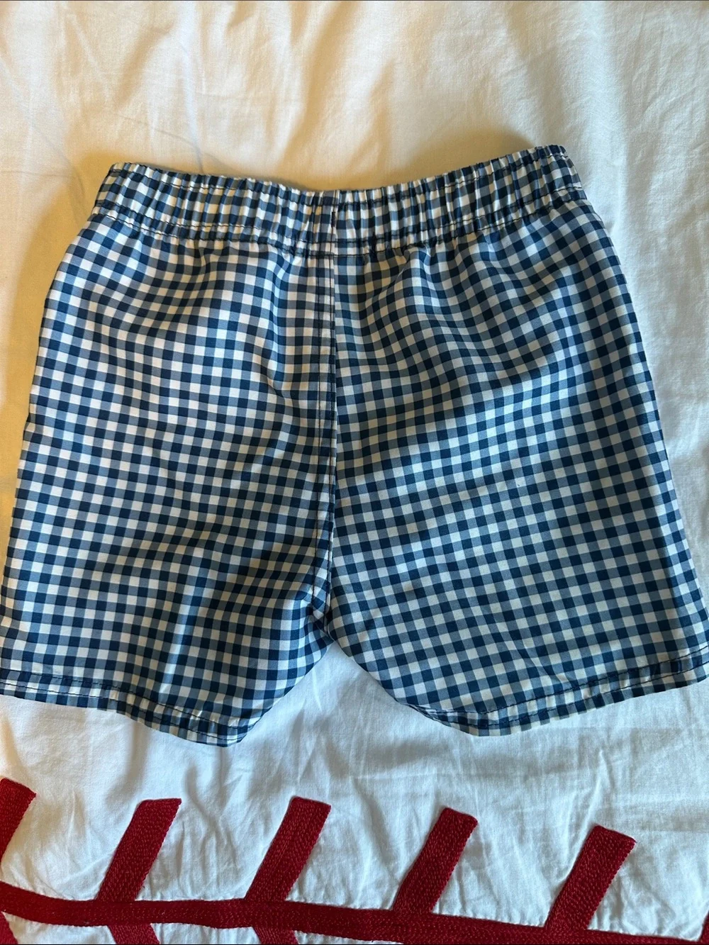 Rugged Butts Blue and White Gingham Swim Shorts