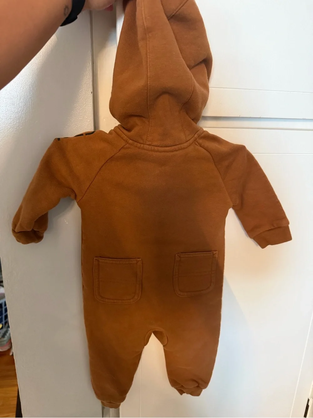 Carhartt cozy hooded