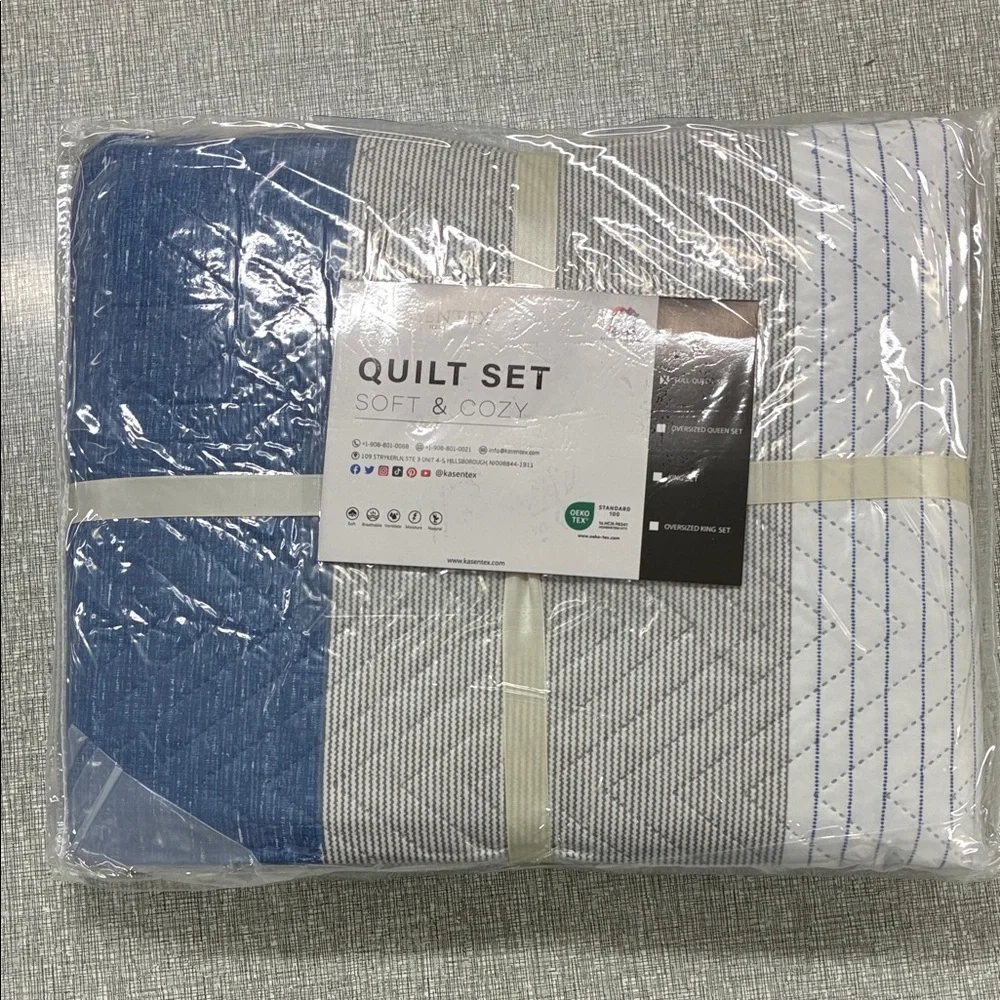 Queen - Soft & Cozy Blue and White Quilt Set