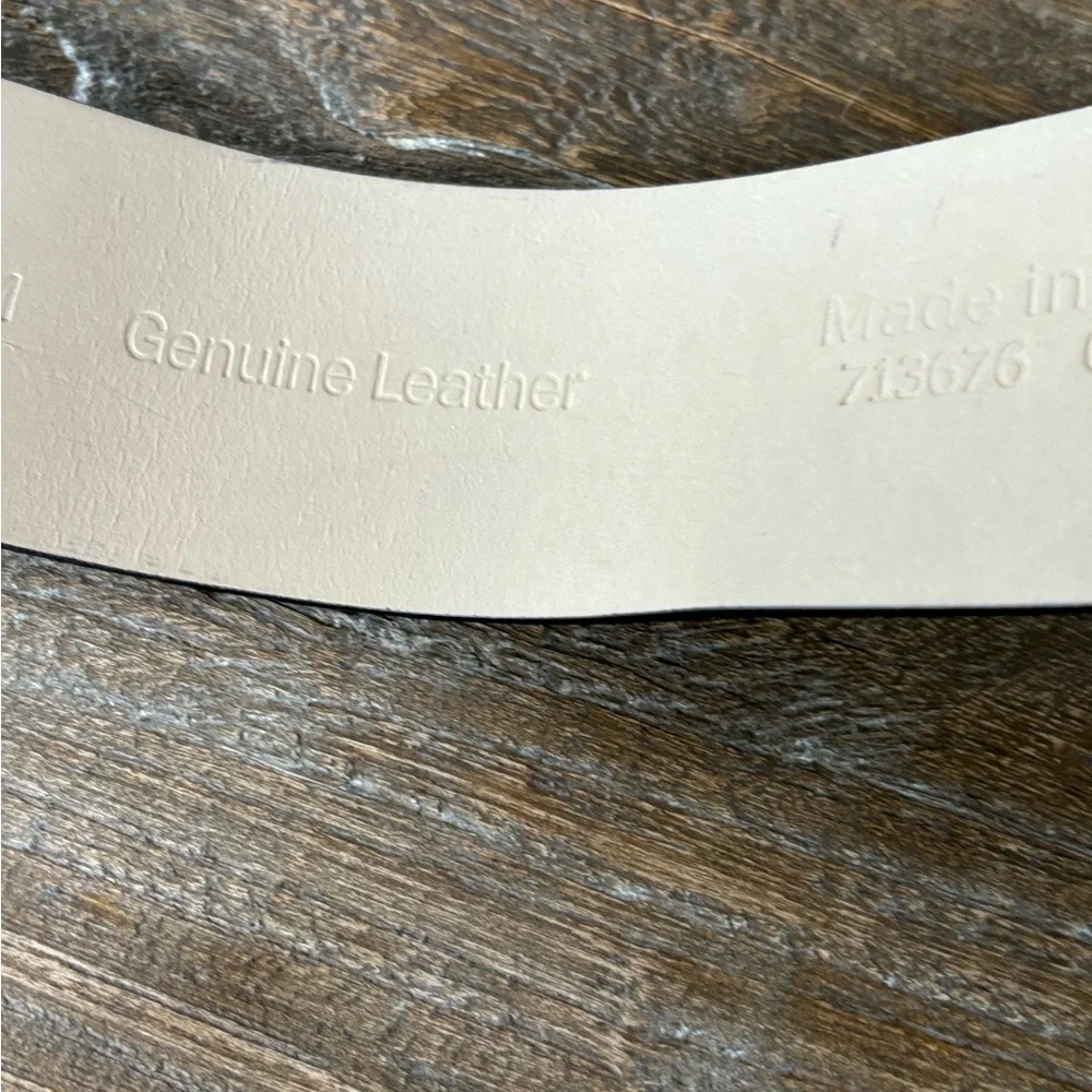 Banana Republic buckle very